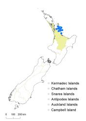 Veronica pubescens subsp. pubescens distribution map based on databased records at AK, CHR & WELT.
 Image: K.Boardman © Landcare Research 2022 CC-BY 4.0